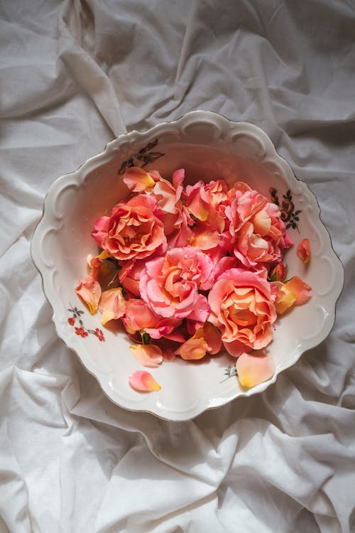 free-photo-of-amor-romantico-folha-flor